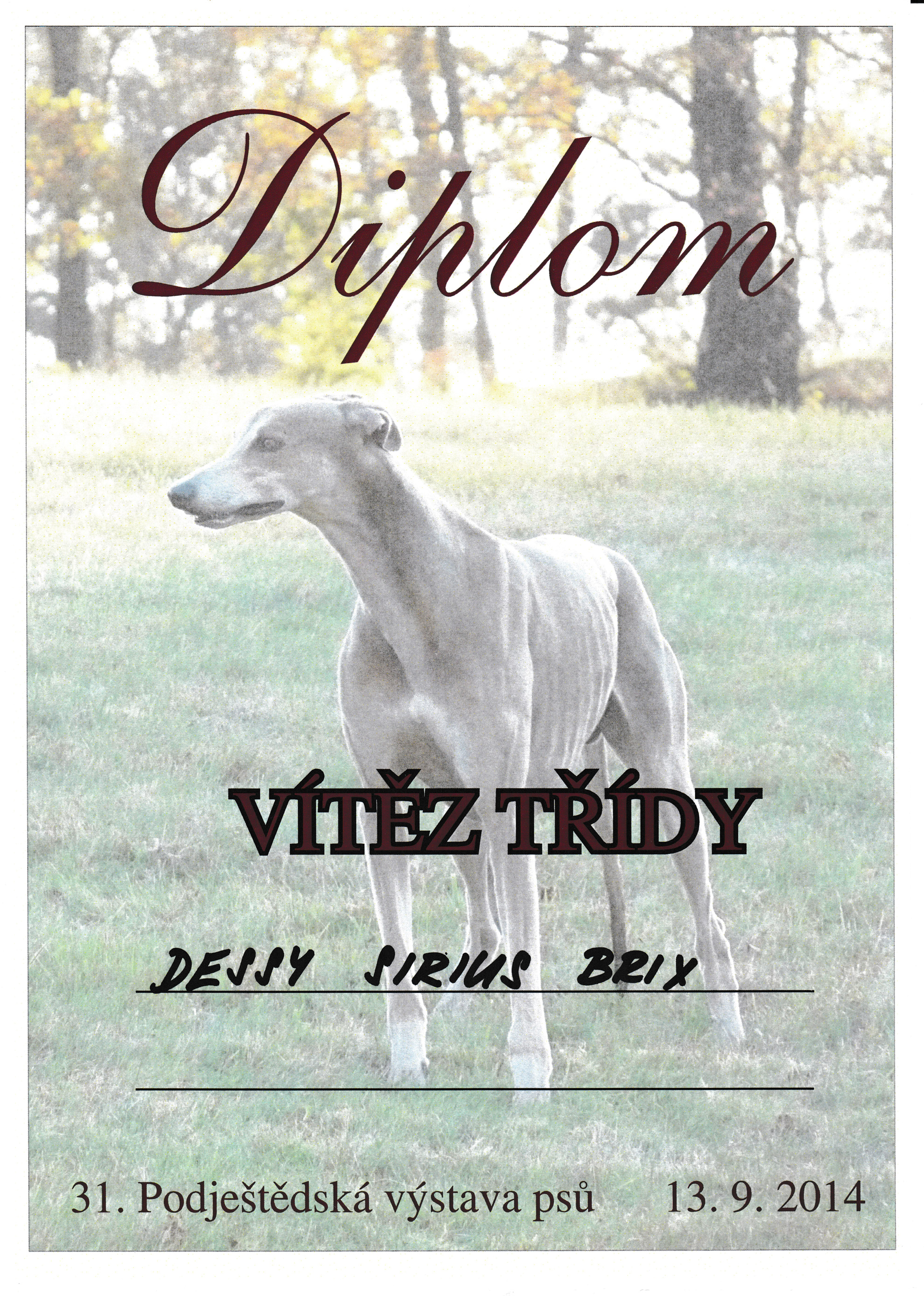 diplom.jpg